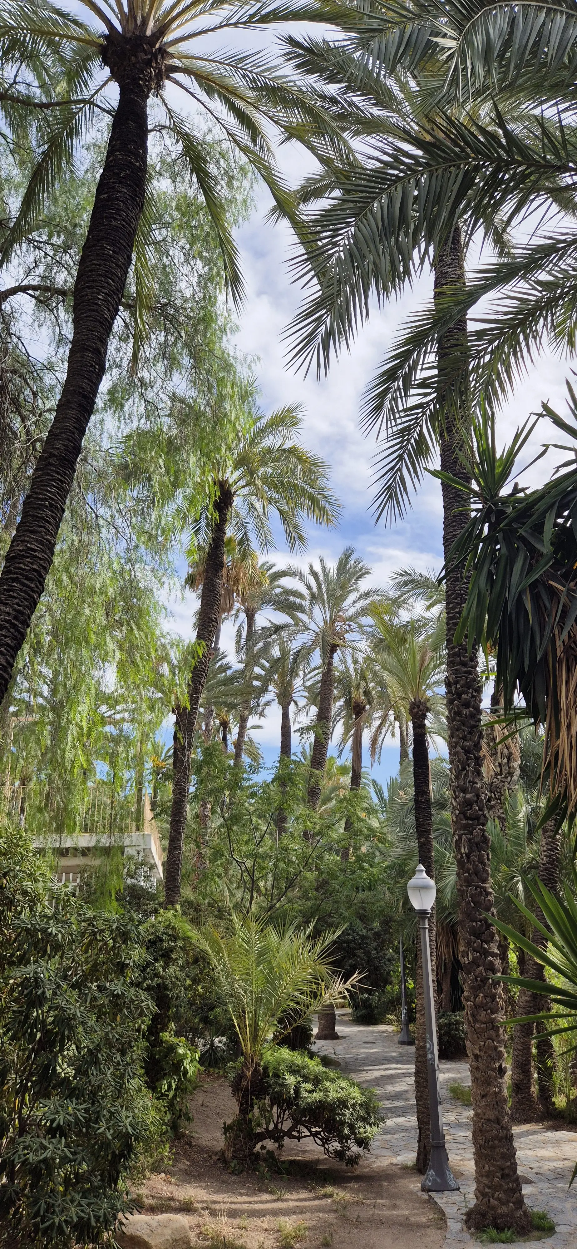 願意一直走下去