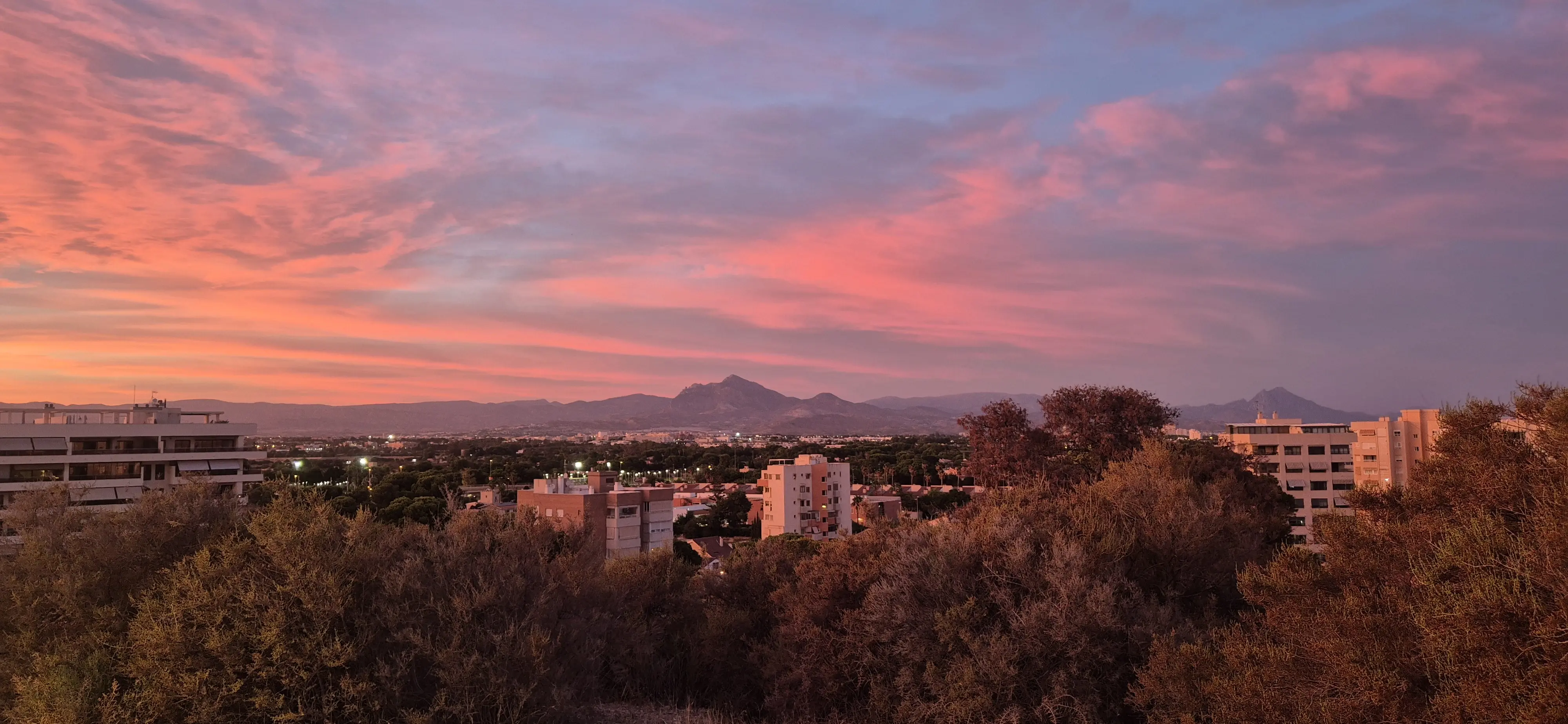 新的城市已然建設