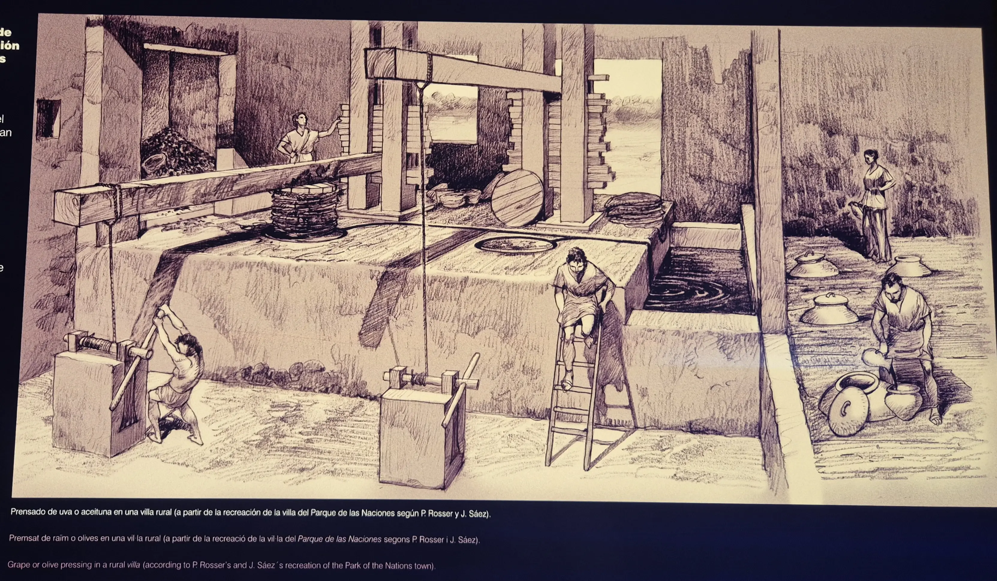 羅馬人榨葡萄和橄欖的作坊