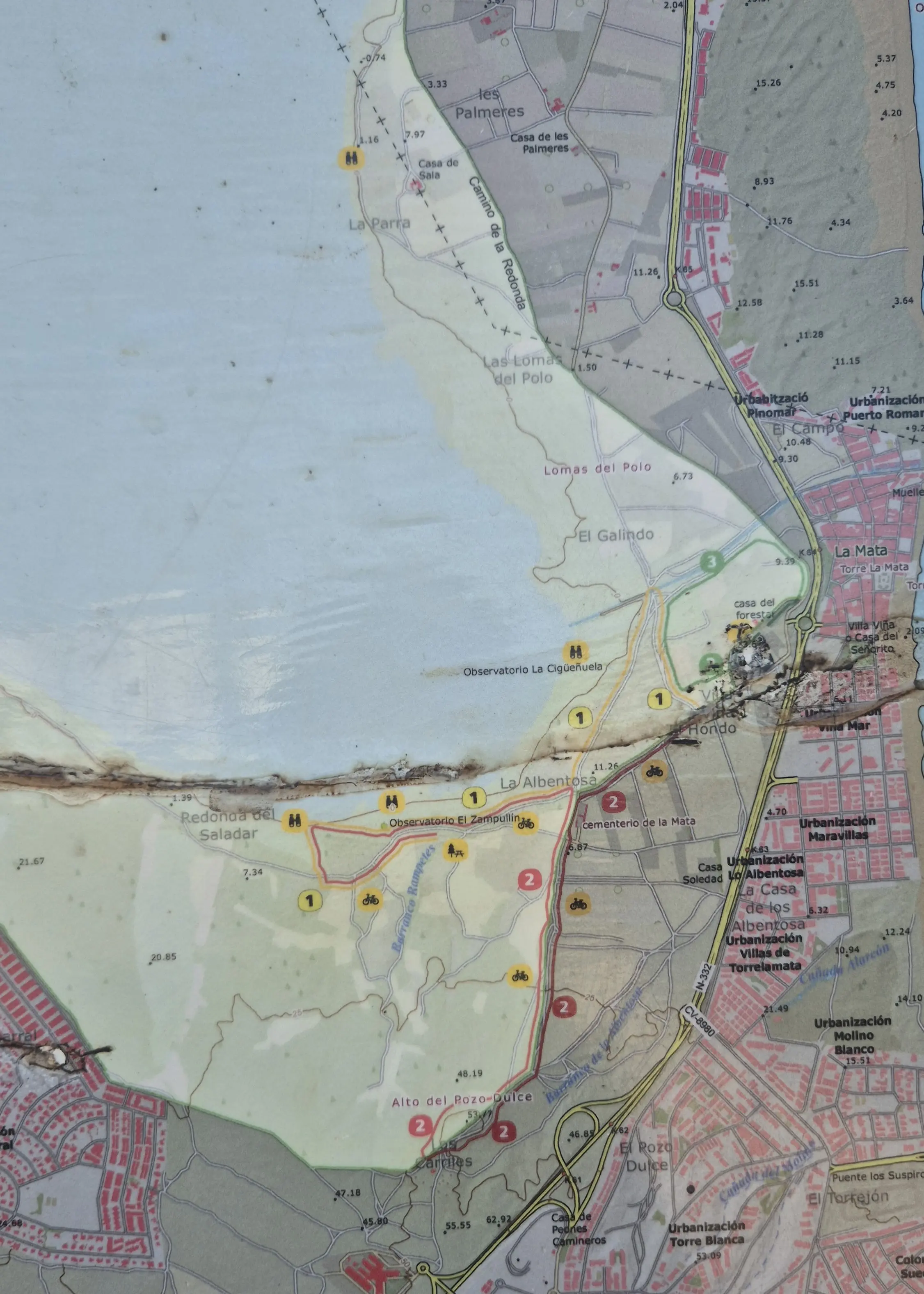 地圖顯示有很多觀鳥點