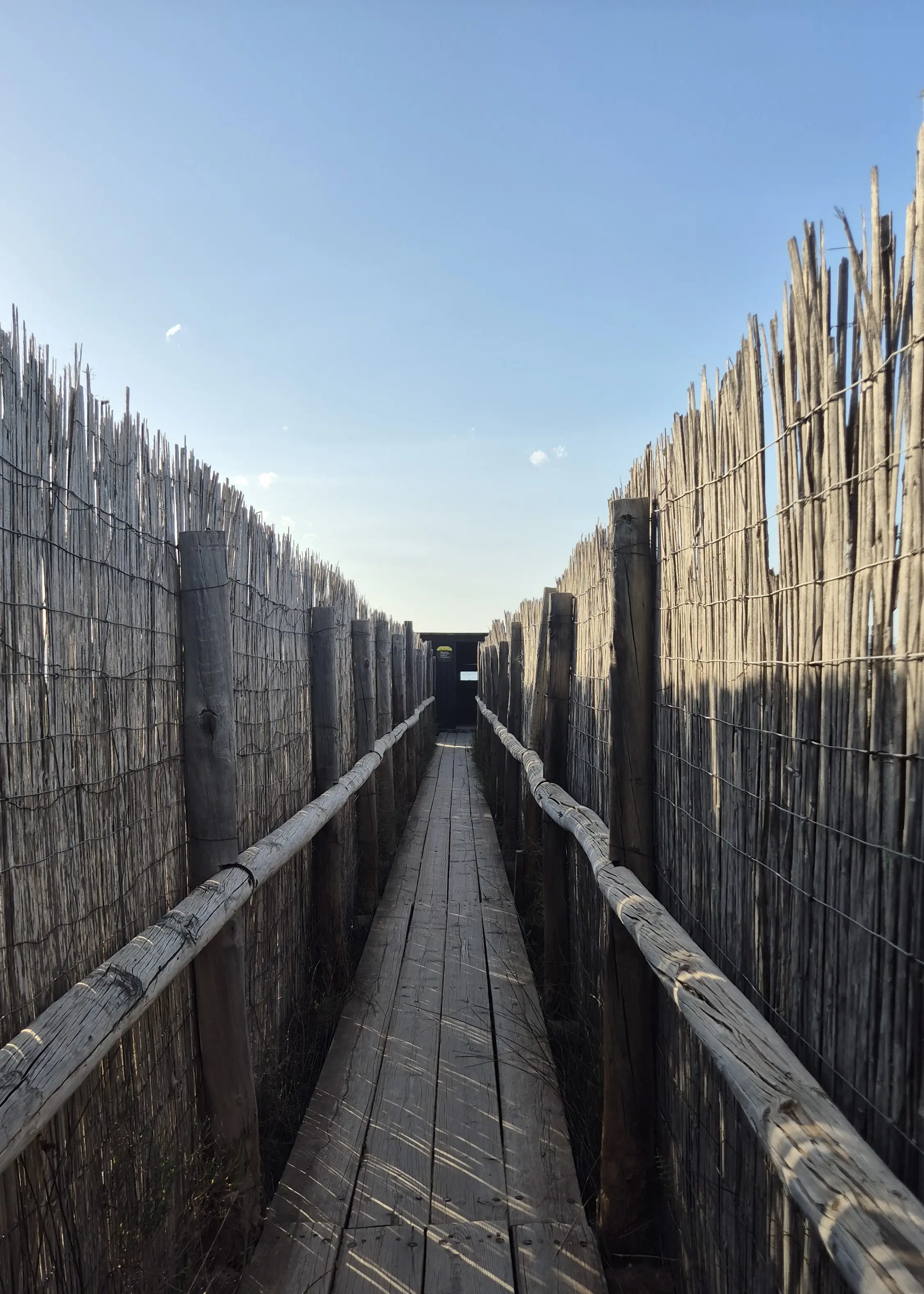 小路走進觀鳥點