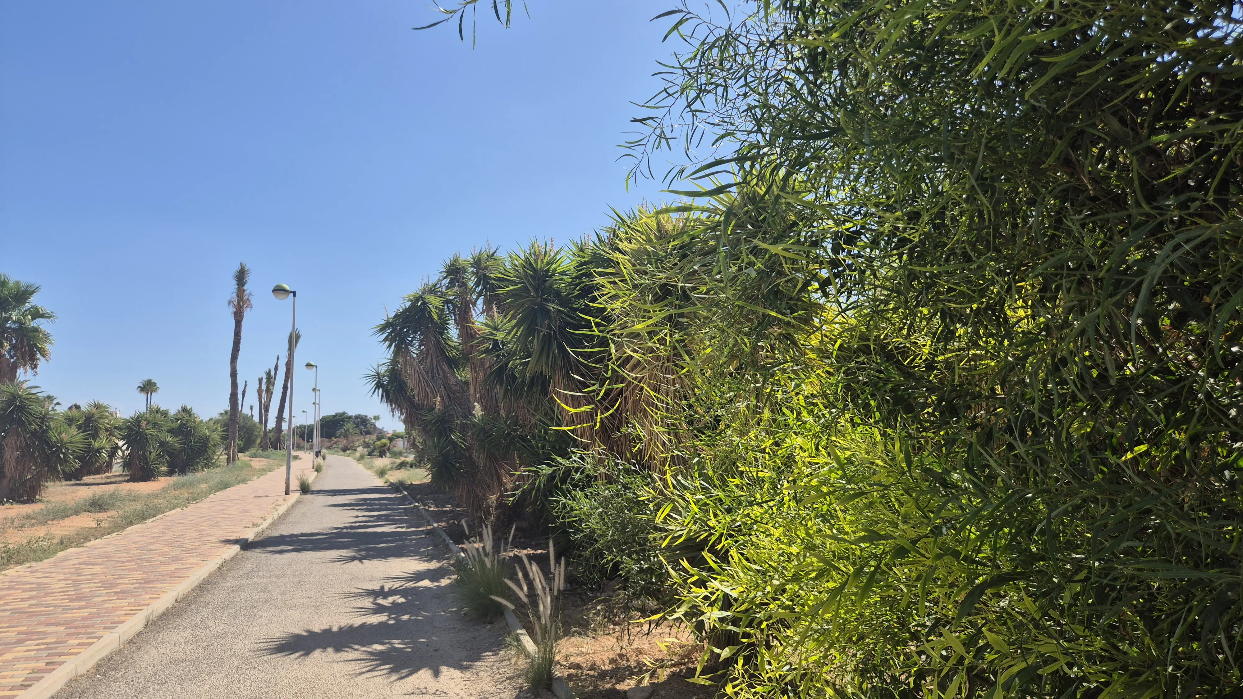 陰影躲一下太陽